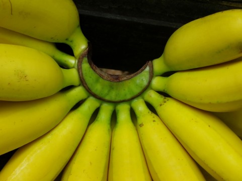 ためしてガッテン　超甘いバナナの作り方！＆３倍日持ちさせる方法